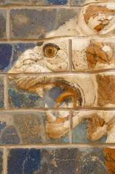 Istanbul, Turkey. Archaeological Museum. Glazed Brick Lion in Relief from the Procession Street, Babylon, Dating from the Nebuchadnezzar II Period circa 604-562 BC.